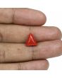 Red Coral (Moonga) - 5 Carat 