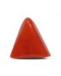 Red Coral (Moonga) - 5.79 Carat 