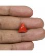 Red Coral (Moonga) - 5.79 Carat 