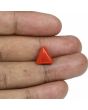 Red Coral (Moonga) - 5.79 Carat 