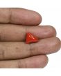 Red Coral (Moonga) - 5.79 Carat 