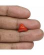 Red Coral (Moonga) - 4.88 Carat 