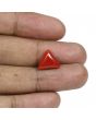 Red Coral (Moonga) - 5.87 Carat 
