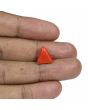 Red Coral (Moonga) - 5.57 Carat 