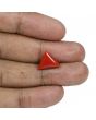 Red Coral (Moonga) - 5.65 Carat 