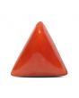 Red Coral (Moonga) - 5.48 Carat 