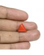 Red Coral (Moonga) - 5.48 Carat 