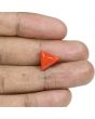 Red Coral (Moonga) - 5.48 Carat 