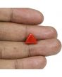 Red Coral (Moonga) - 4.61 Carat 