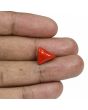 Red Coral (Moonga) - 5.82 Carat 