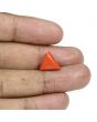 Red Coral (Moonga) - 5.97 Carat 