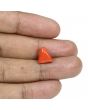 Red Coral (Moonga) - 5.82 Carat 