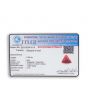 Red Coral (Moonga) - 5.82 Carat 