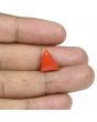 Red Coral (Moonga) - 5.51 Carat 