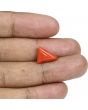 Red Coral (Moonga) - 5.51 Carat 