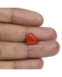 Red Coral (Moonga) - 5.41 Carat 