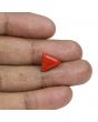 Red Coral (Moonga) - 5.41 Carat 