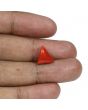Red Coral (Moonga) - 5.82 Carat 
