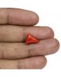 Red Coral (Moonga) - 5.82 Carat 