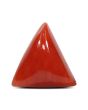 Red Coral (Moonga) - 5.01 Carat 