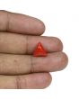 Red Coral (Moonga) - 5.01 Carat 