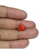 Red Coral (Moonga) - 5.01 Carat 