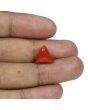 Red Coral (Moonga) - 5.76 Carat 
