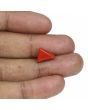 Red Coral (Moonga) - 4.82 Carat 