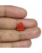 Red Coral (Moonga) - 5.55 Carat 