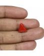 Red Coral (Moonga) - 5.55 Carat 