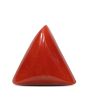 Red Coral (Moonga) - 4.91 Carat 