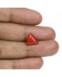 Red Coral (Moonga) - 4.91 Carat 
