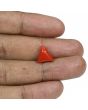 Red Coral (Moonga) - 4.88 Carat 