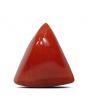 Red Coral (Moonga) - 5.56 Carat 