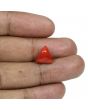 Red Coral (Moonga) - 5.56 Carat 