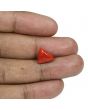 Red Coral (Moonga) - 5.56 Carat 