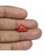 Red Coral (Moonga) - 5.09 Carat 