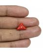 Red Coral (Moonga) - 5.09 Carat 