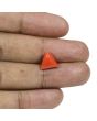 Red Coral (Moonga) - 4.88 Carat 