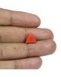 Red Coral (Moonga) - 4.88 Carat 