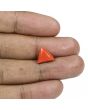 Red Coral (Moonga) - 4.88 Carat 