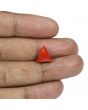 Red Coral (Moonga) - 5.91 Carat 