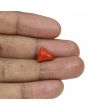 Red Coral (Moonga) - 5.91 Carat 
