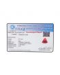 Red Coral (Moonga) - 5.91 Carat 