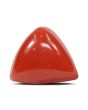 Red Coral (Moonga) - 5.66 Carat 