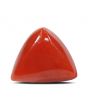 Red Coral (Moonga) - 5.66 Carat 