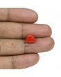 Red Coral (Moonga) - 5.66 Carat 