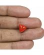 Red Coral (Moonga) - 5.66 Carat 