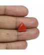 Red Coral (Moonga) - 5.25 Carat 