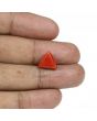 Red Coral (Moonga) - 5.25 Carat 